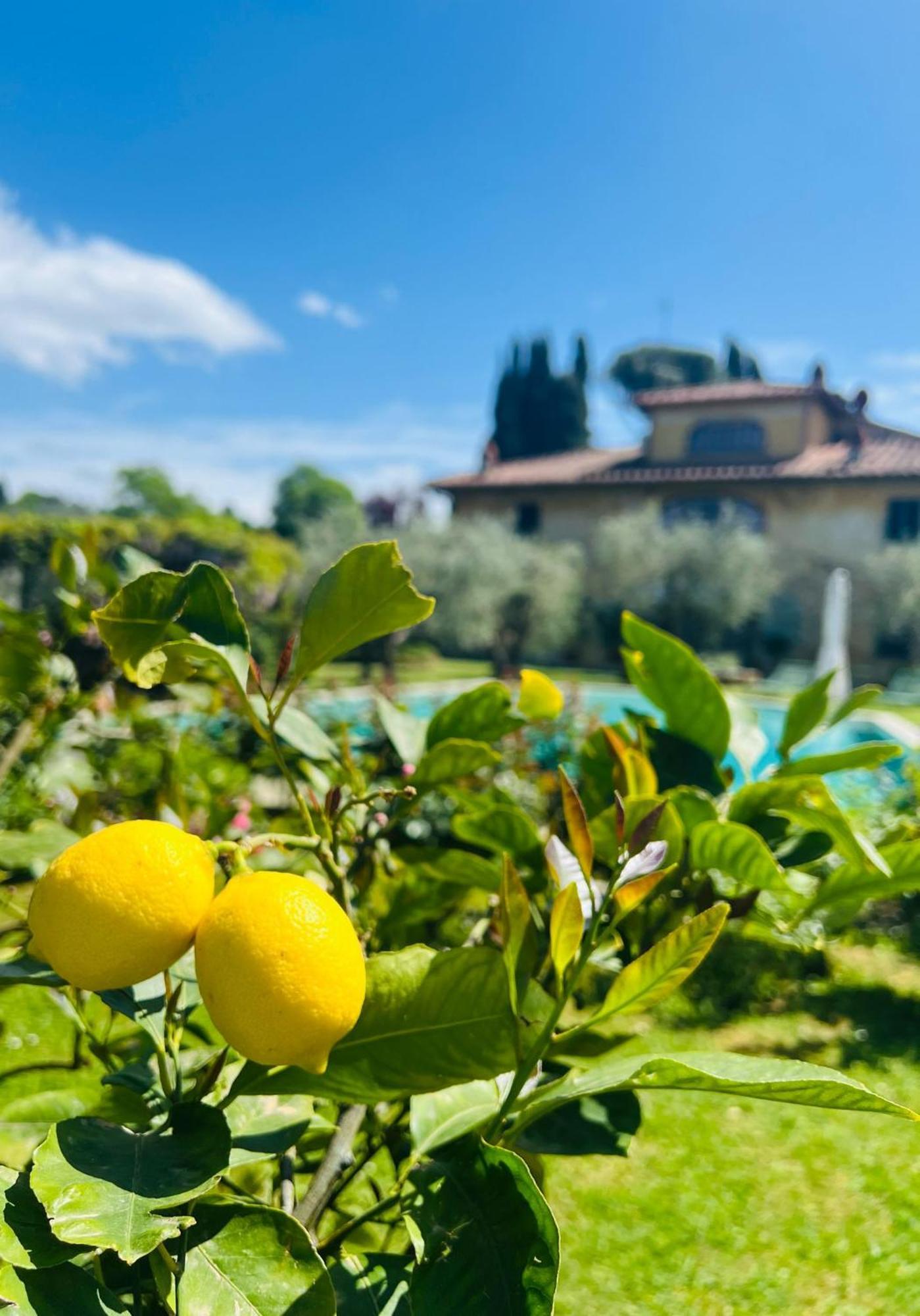 Villa Giotto Florence Pozzolatico Zewnętrze zdjęcie