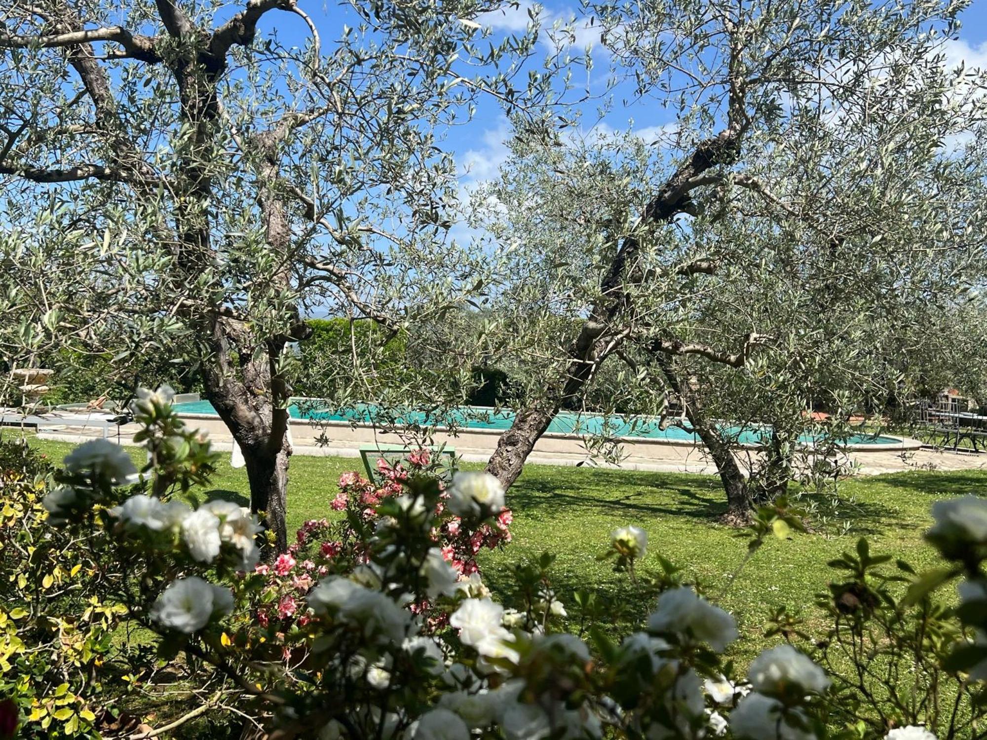 Villa Giotto Florence Pozzolatico Zewnętrze zdjęcie